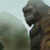Movie Study - King Kong